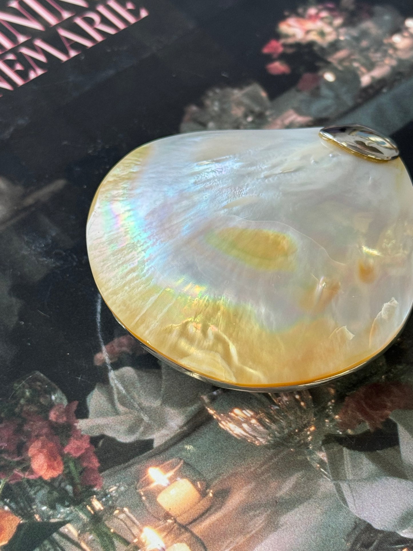 Vintage Mother-of-Pearl Enameled Trinket Box