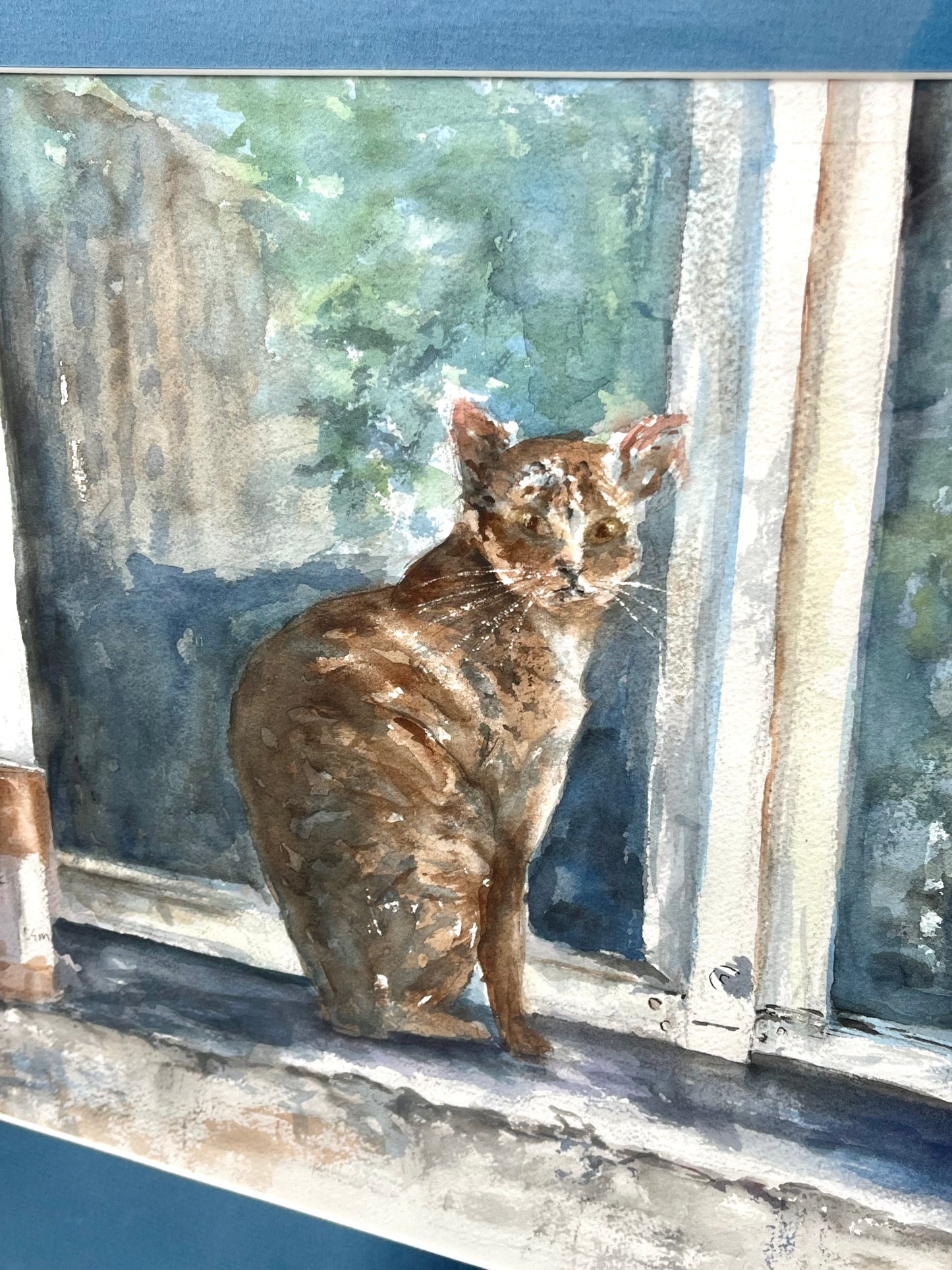Framed and Signed Cat in Windowsill Watercolor