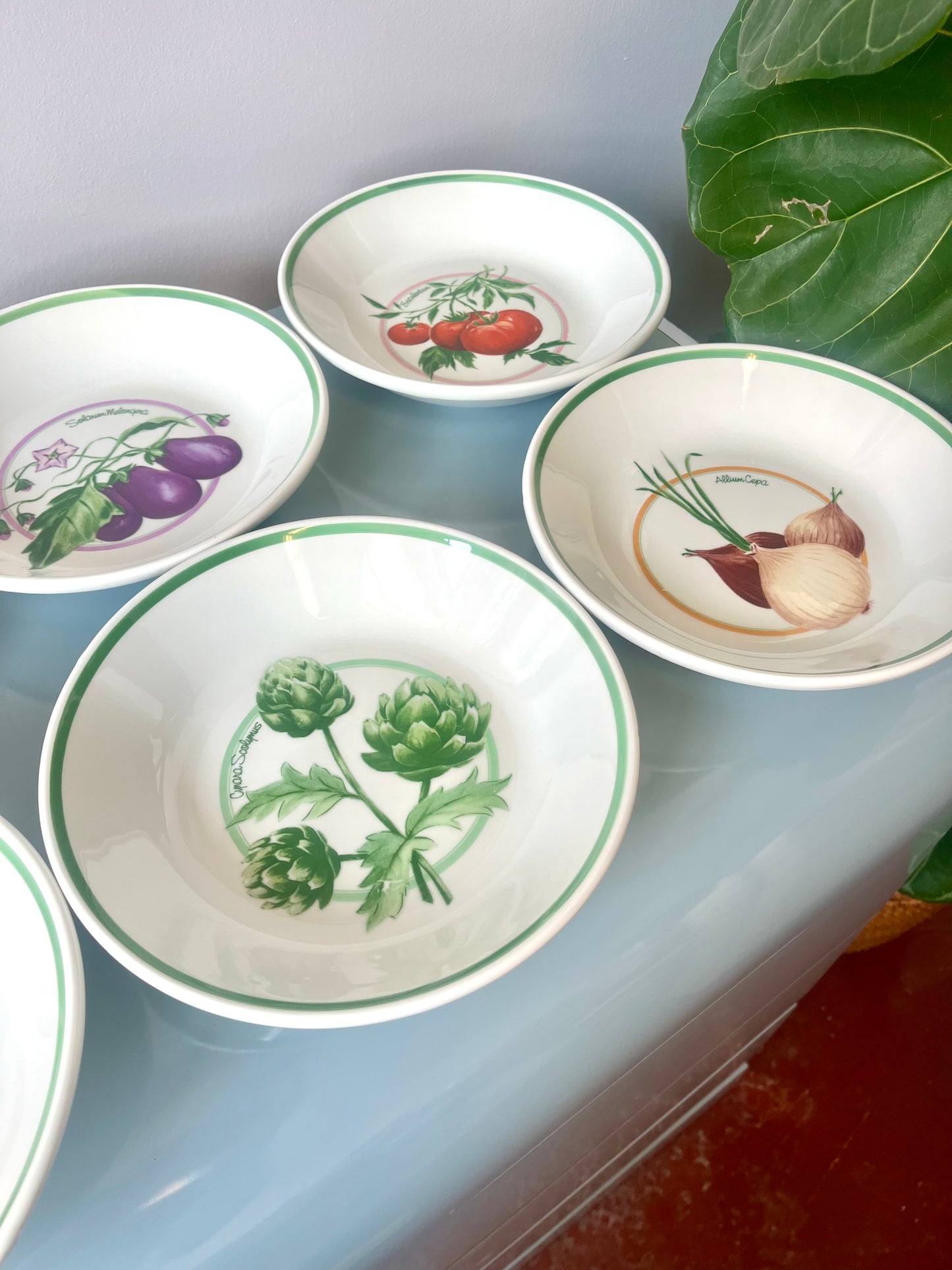 Vintage La Primula Ceramic Vegetable-painted Italian Pasta Bowls