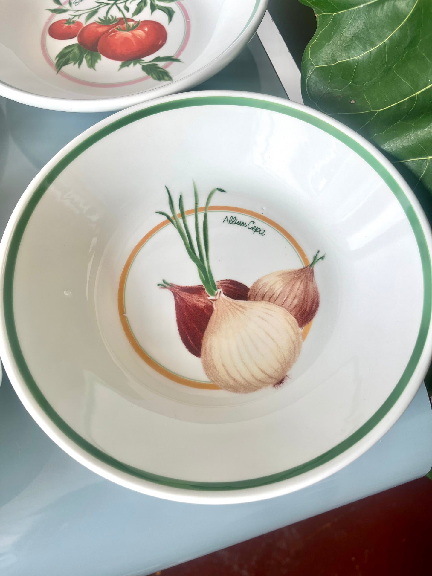 Vintage La Primula Ceramic Vegetable-painted Italian Pasta Bowls