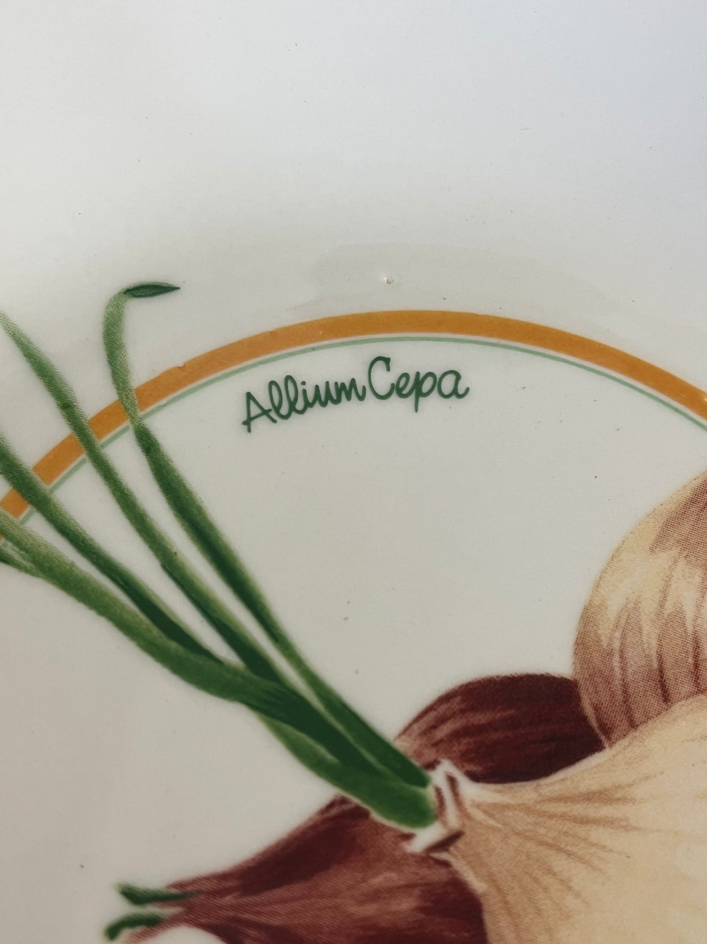 Vintage La Primula Ceramic Vegetable-painted Italian Pasta Bowls