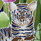 Original 1980 Harriet Peck Taylor Tiger Batik