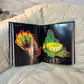 Chihuly, 2nd Edition Revised & Expanded, 1998