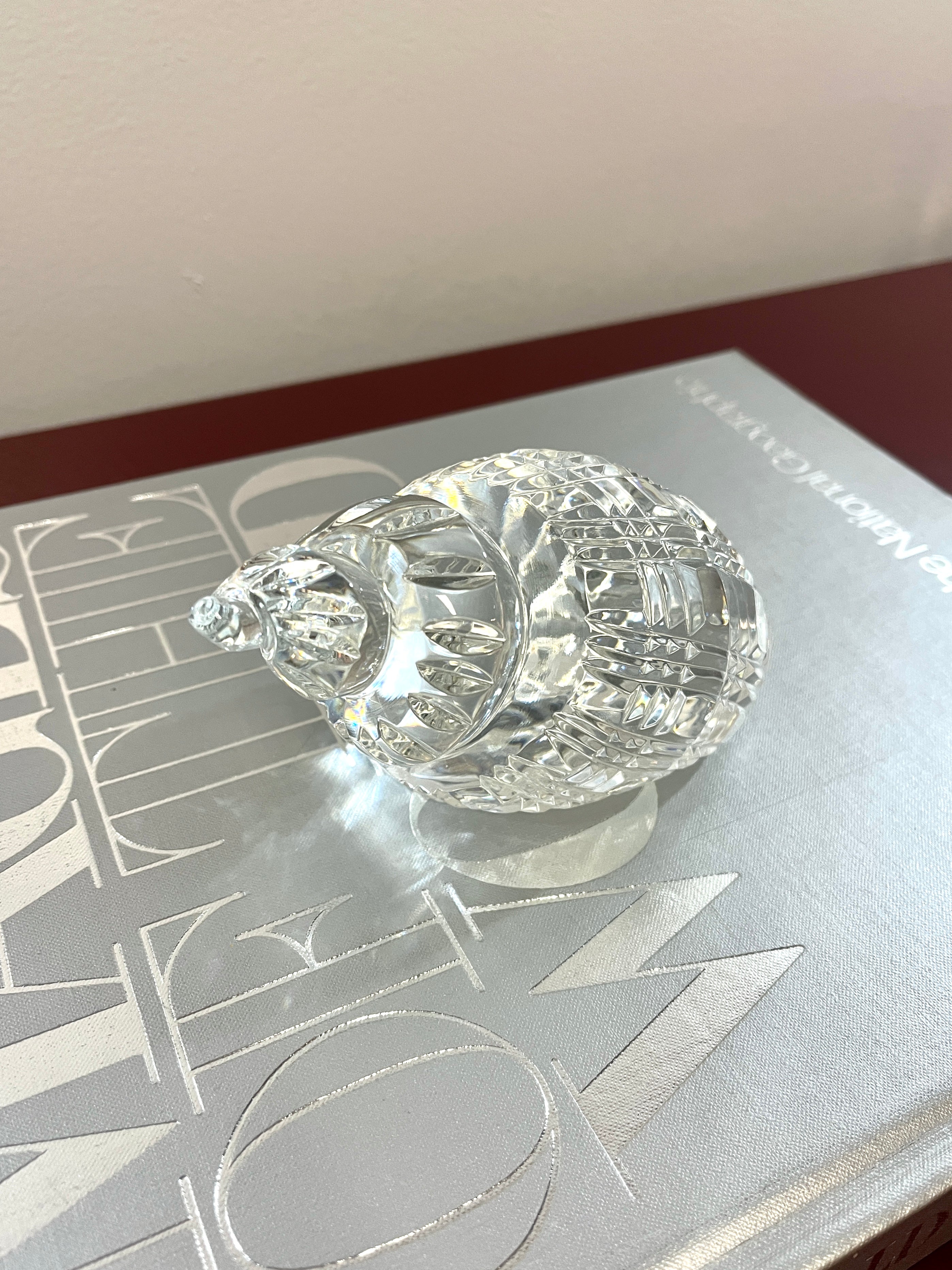 Waterford Crystal Conch buying Seashell Figurine Paperweight