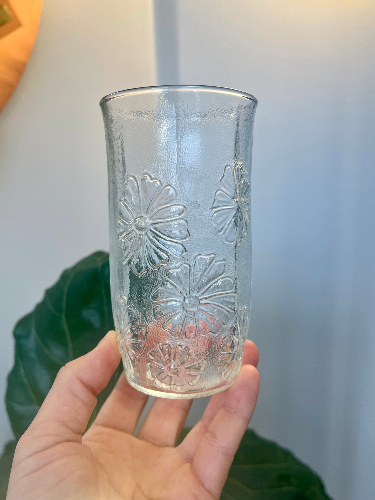 Vintage Anchor Hocking Springsong Tumblers